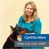 cynthiamaro21 Avatar